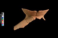 藏品(口緣)的圖片