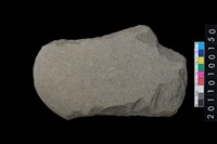 藏品(石斧)的圖片