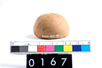 藏品(陶紡輪)的圖片