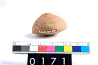 藏品(陶紡輪)的圖片