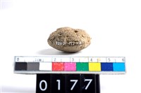 藏品(陶紡輪)的圖片