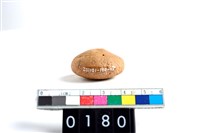 藏品(陶紡輪)的圖片