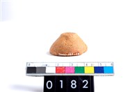 藏品(陶紡輪)的圖片