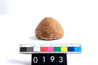 藏品(陶紡輪)的圖片