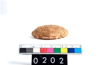 藏品(陶紡輪)的圖片