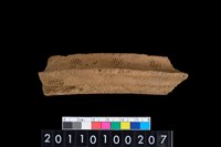 藏品(罐口緣)的圖片