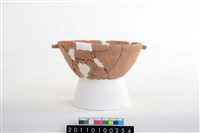 藏品(豆型器)的圖片