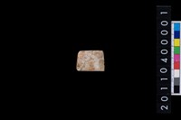 藏品(玉錛)的圖片