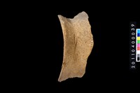 藏品(口緣)的圖片