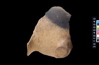 藏品(口緣帶鈕)的圖片