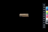 藏品(石針)的圖片