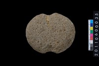 藏品(石網墜)的圖片