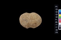 藏品(石網墜)的圖片