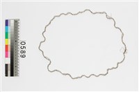 藏品(貝殼錢幣)的圖片