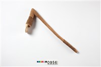 藏品(貝錛)的圖片