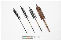 藏品(箭)的圖片