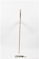 藏品(箭)的圖片