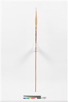 藏品(箭)的圖片