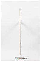 藏品(箭)的圖片