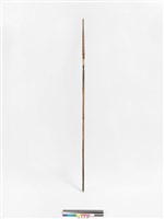 藏品(箭)的圖片