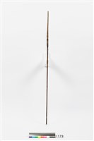 藏品(箭)的圖片