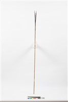 藏品(箭)的圖片