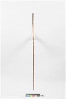 藏品(箭)的圖片