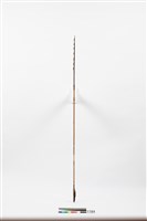 藏品(箭)的圖片