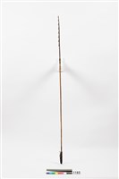 藏品(箭)的圖片