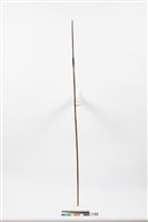 藏品(箭)的圖片