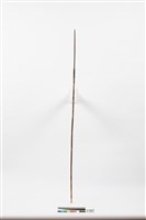 藏品(箭)的圖片