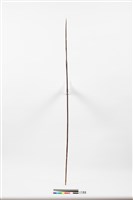 藏品(箭)的圖片