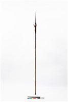 藏品(箭)的圖片