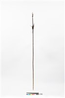 藏品(箭)的圖片