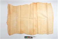 藏品(樹皮布)的圖片