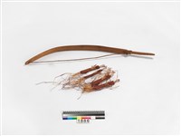 藏品(口琴)的圖片