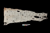 藏品(樹皮布)的圖片