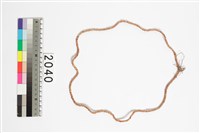 藏品(古貝貨)的圖片