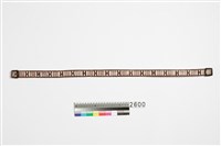 藏品(腰帶)的圖片