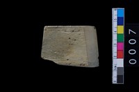 藏品(玉錛)的圖片