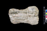 藏品(玉斧)的圖片