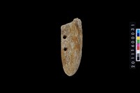 藏品(石刀)的圖片