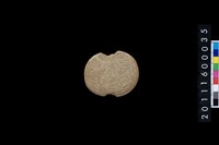 藏品(石網墜)的圖片