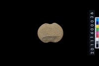 藏品(石網墜)的圖片