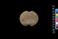 藏品(石網墜)的圖片