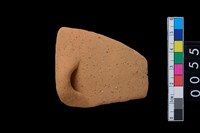 藏品(腹片帶鈕把)的圖片