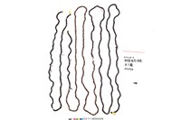 藏品(貝珠串)的圖片