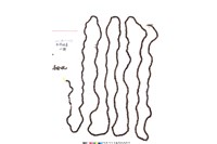 藏品(貝珠串)的圖片