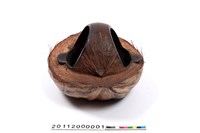 藏品(椰殼容器)的圖片