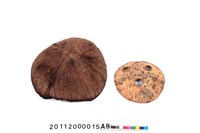 藏品(椰殼容器)的圖片